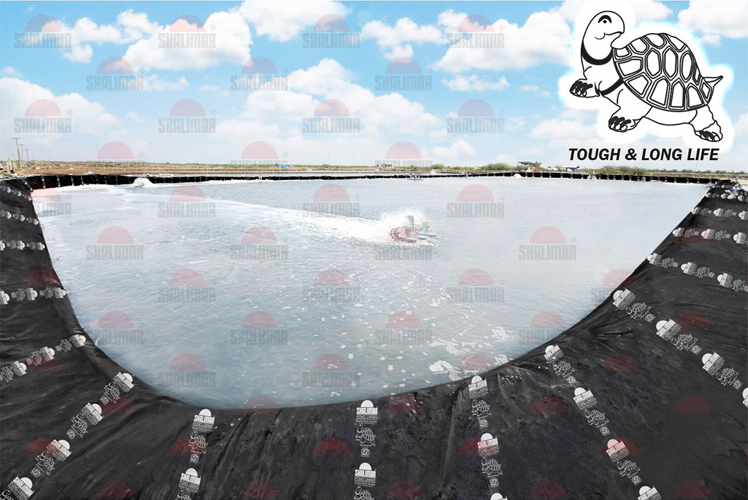 Plastic Pond Liner Manufacturer Mumbai, PVC Pond Liner Online India